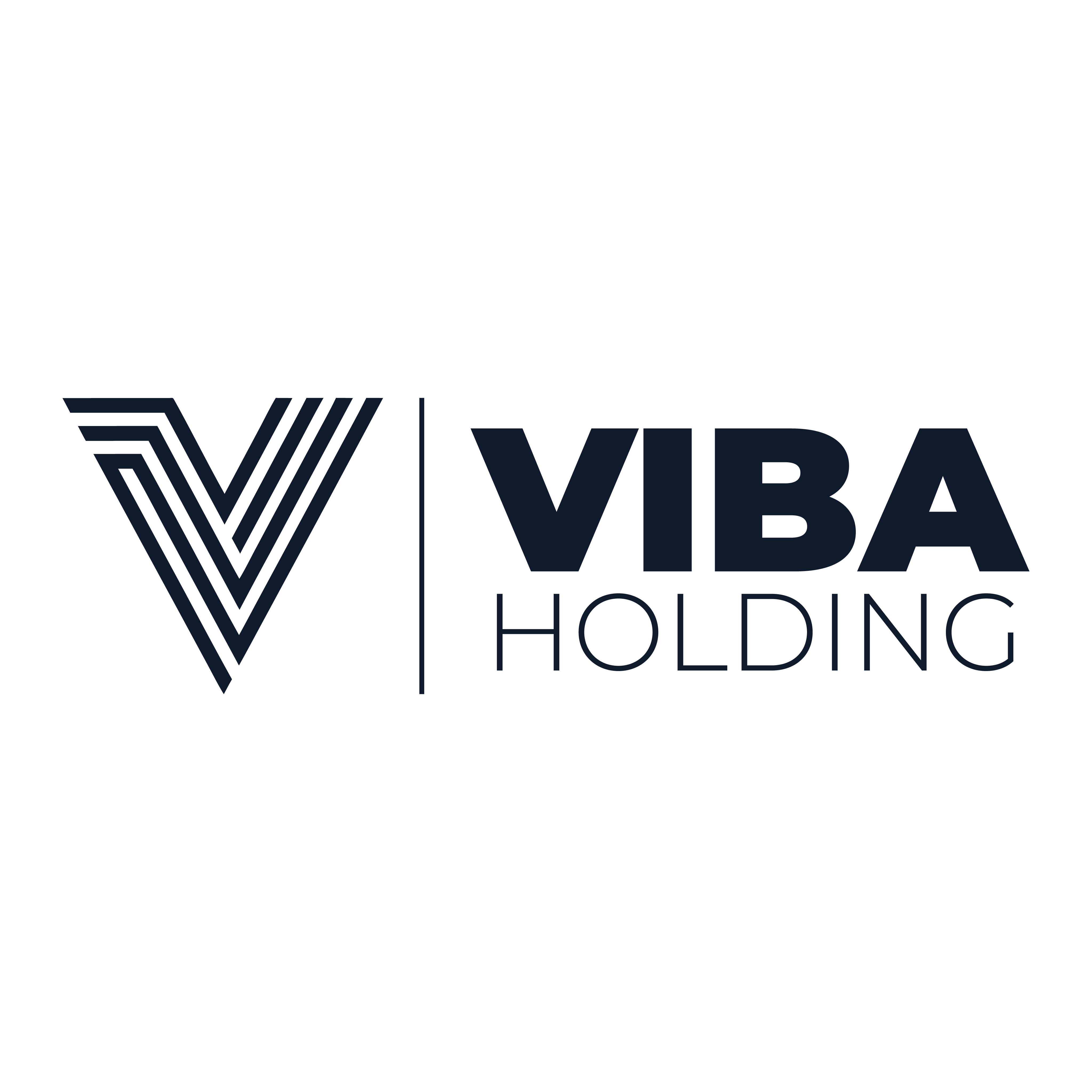 ViBA Holding