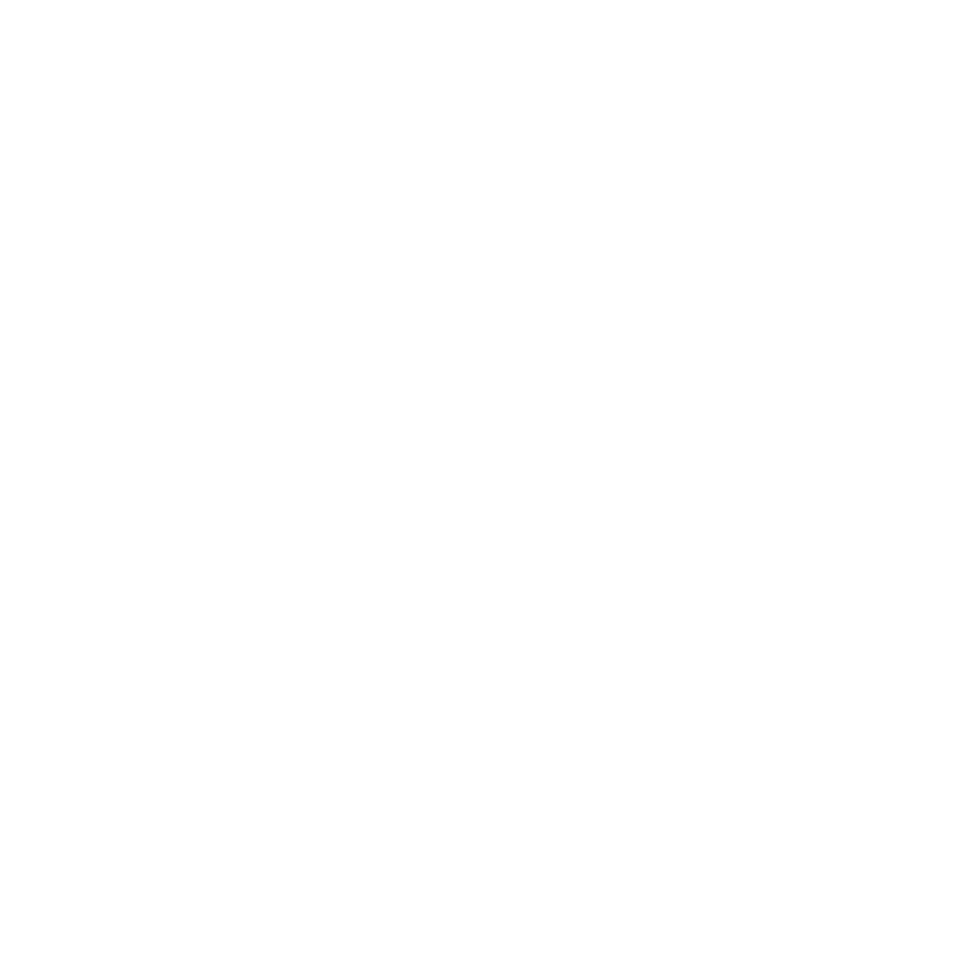 ViBA Holding